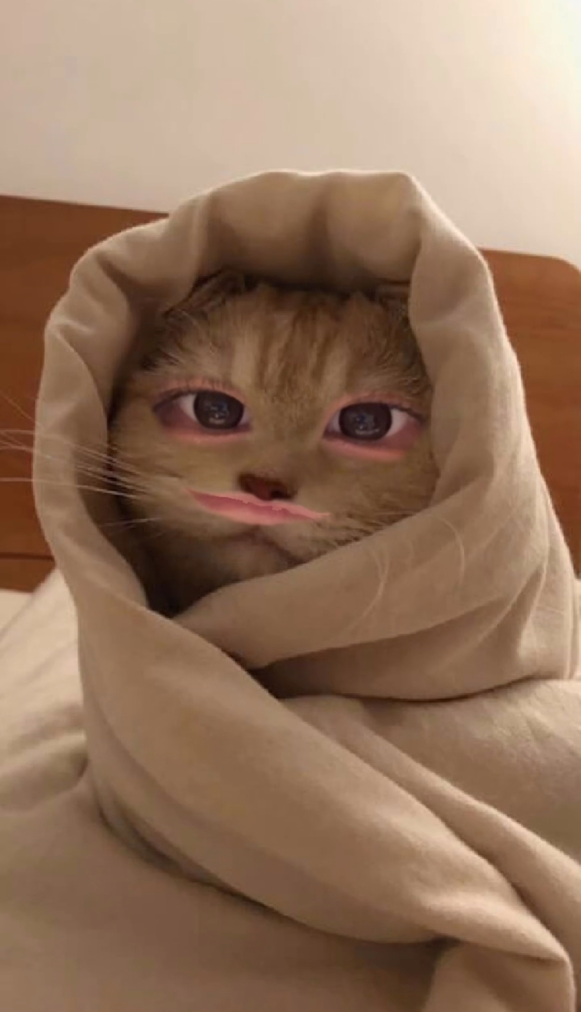 日記画像