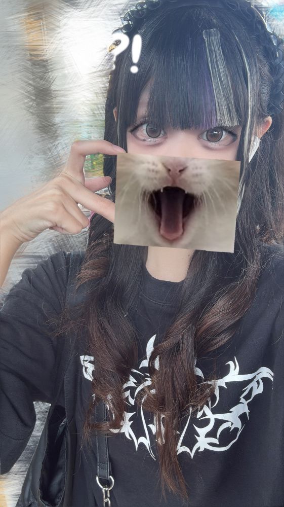 日記画像