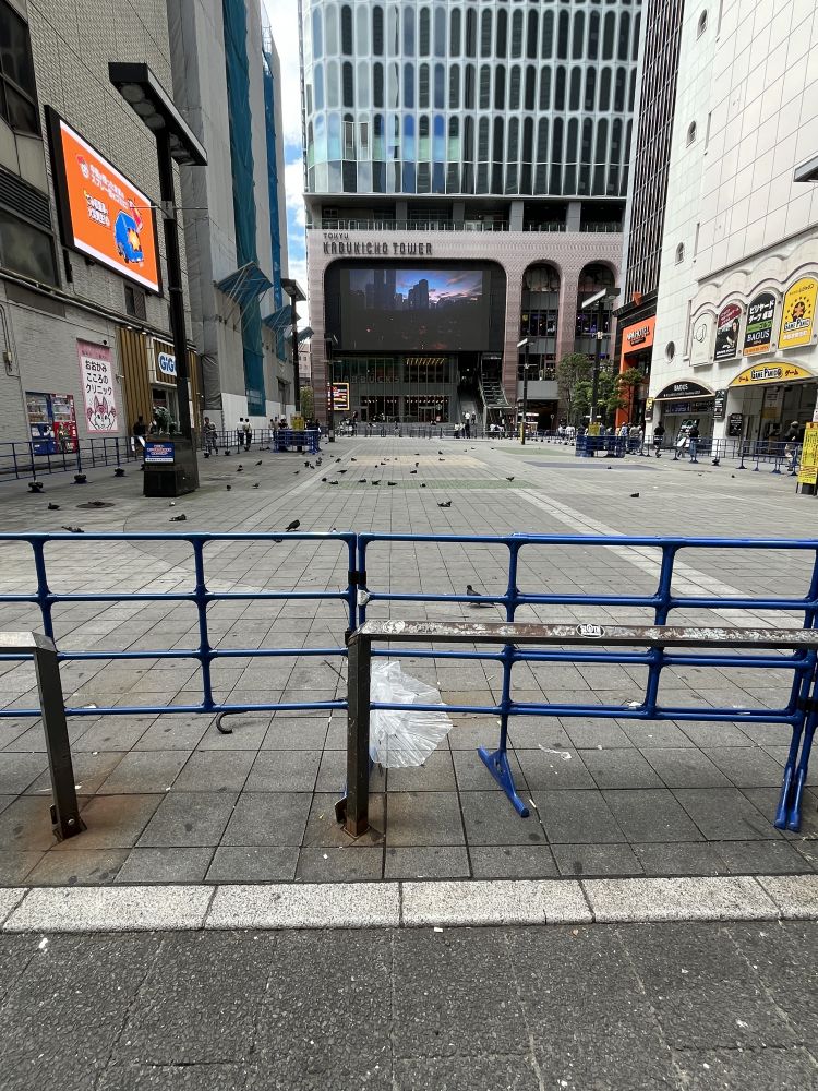 ゆめ「鳩で治安が測れると思うんだ」（1）